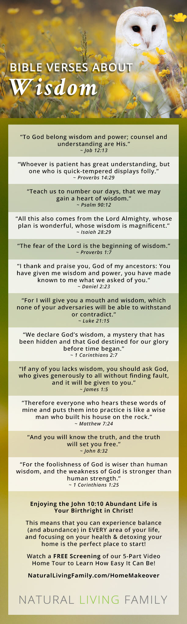 Bible Verses About Wisdom