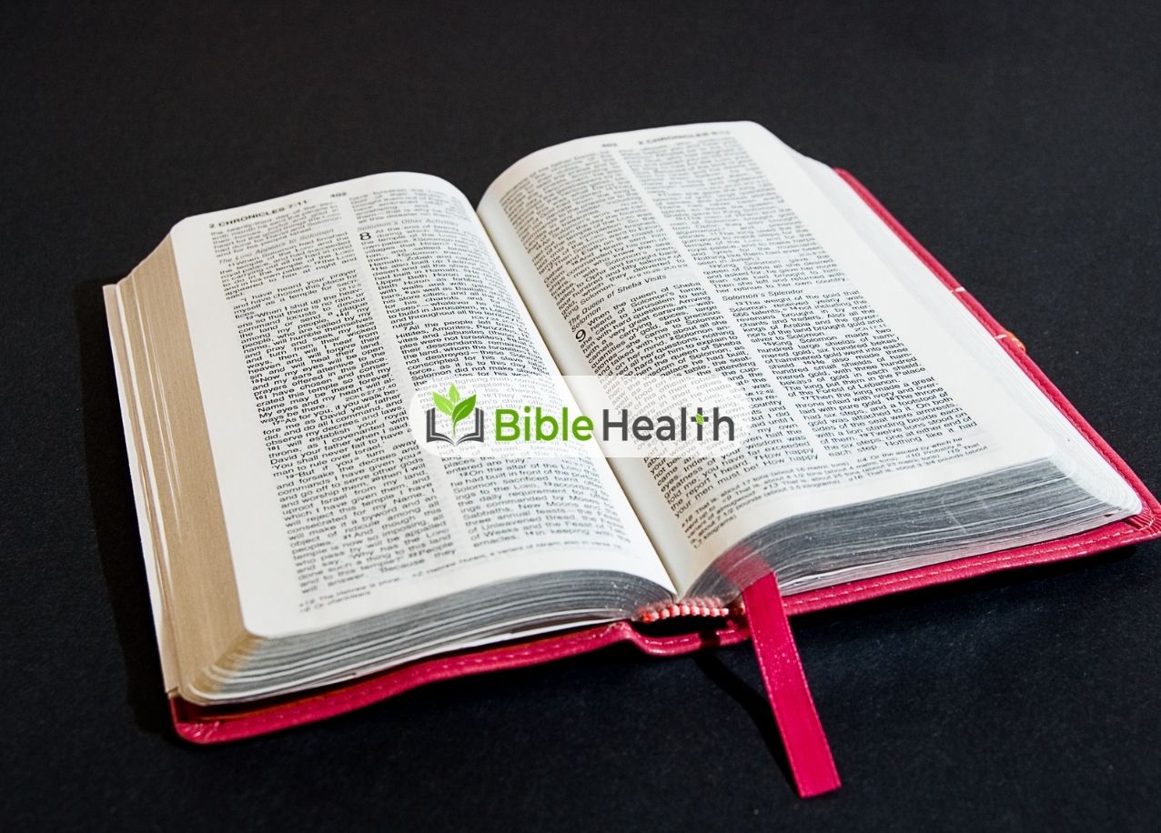 Dwelling in the Shelter Psalm 91:1–2 Daily Devotion Day 235 Aug 23