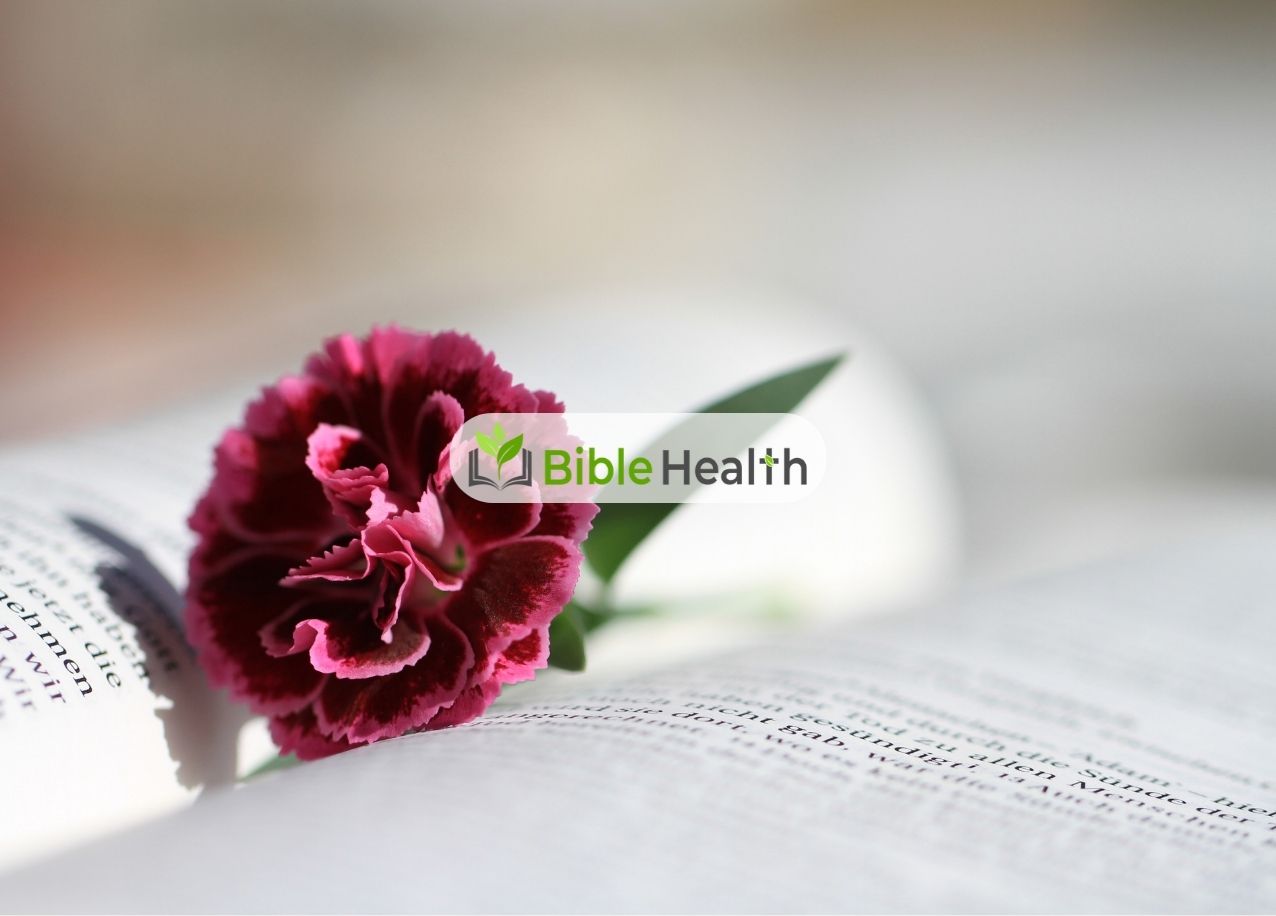 Flourishing Again Hosea 14:5–7 Daily Devotion Day 242 Aug 30