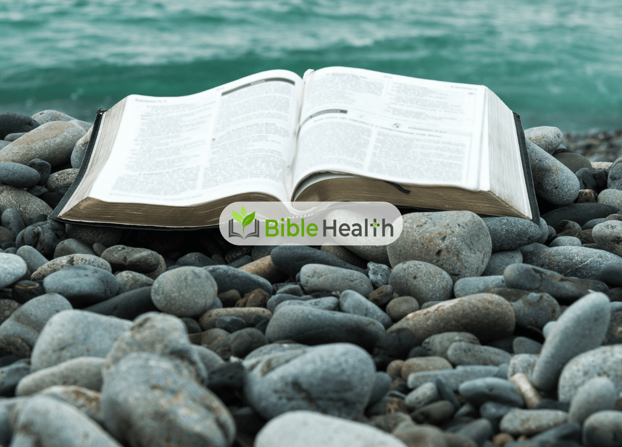 Light and Momentary 2 Corinthians 4:16–17 Daily Devotion Aug 3