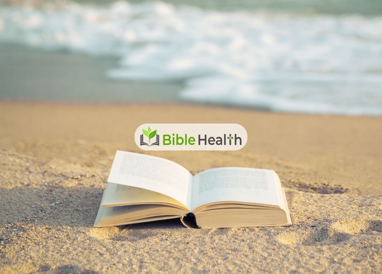 More Than Conquerors Romans 8:35–37 Daily Devotion Day 234 Aug 22