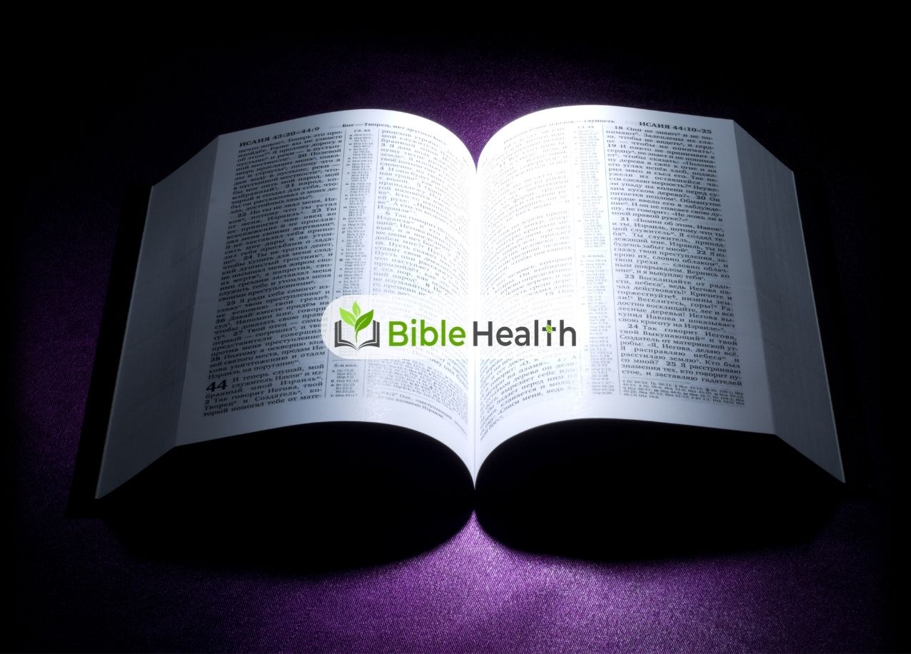Renewed Day by Day 2 Corinthians 4:16–18 Daily Devotion Day 233 Aug 21