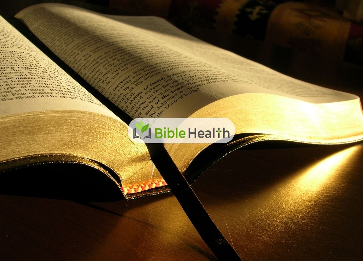 Strength for Each Day Deuteronomy 33:25 Daily Devotion Day 231 Aug 19