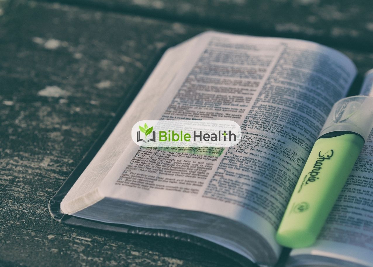 Strength to Soar Isaiah 40:29–31 Daily Devotion Day 229 Aug 17