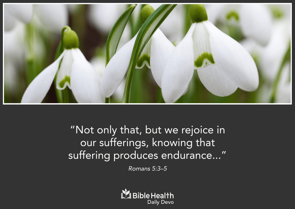Endurance, Character, and Hope Romans 5:3-5 Daily Devo
