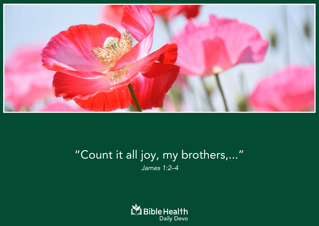 Joy in the Trial James 1 2–4 devos-featured-september-29