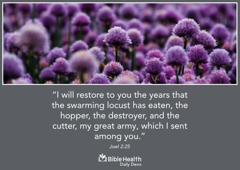Restored to Thrive