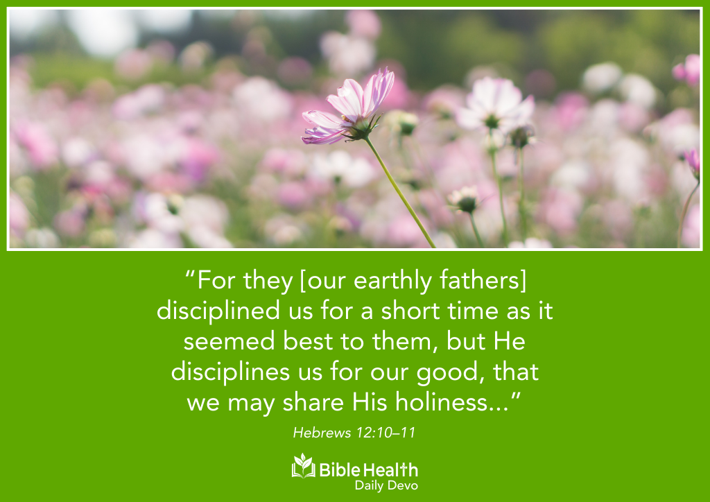 The Peaceful Fruit of Righteousness Hebrews 12 10–11 October 1