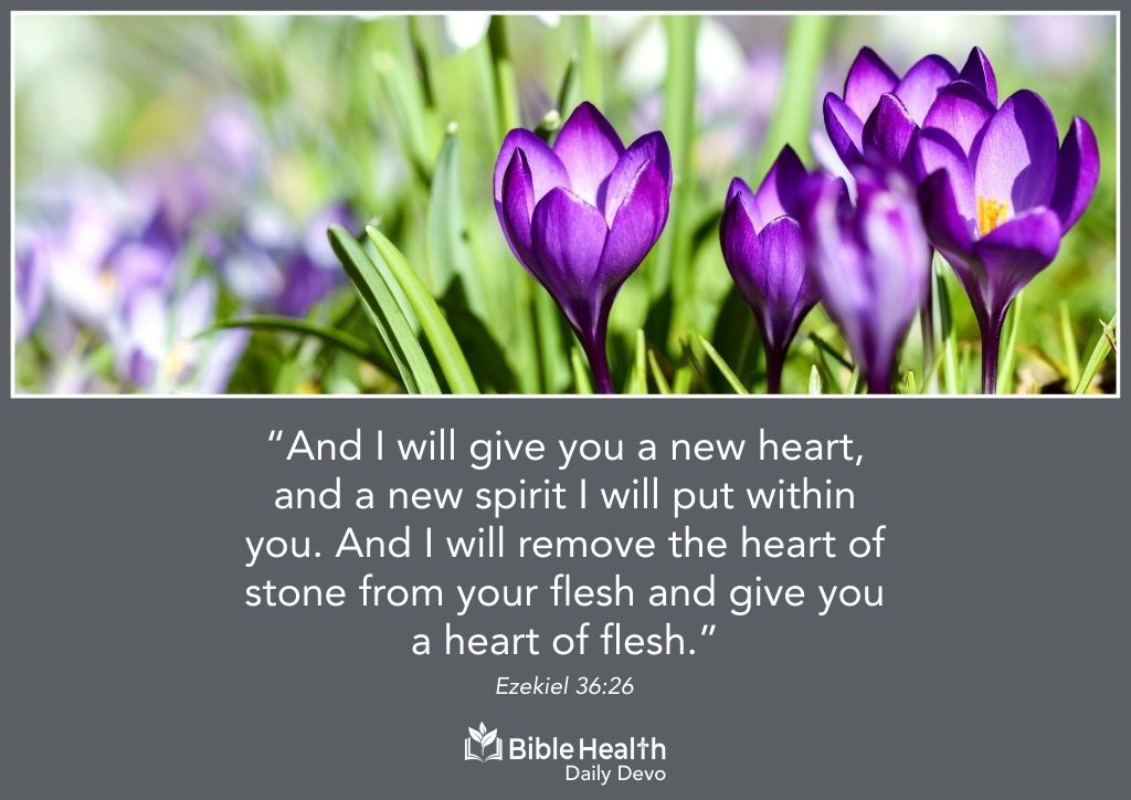 A New Heart and Spirit Ezekiel 36 26 January 2