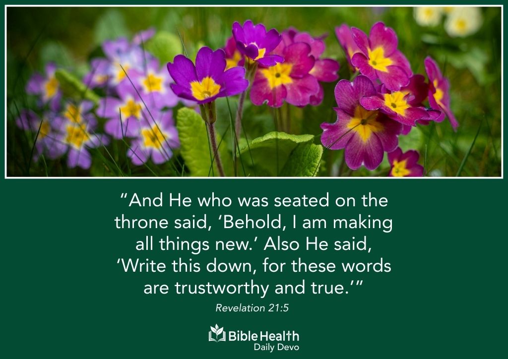 All Things Made New Revelation 21 5 January 3