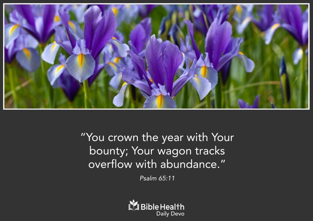 Crowned With His Abundance Psalm 65 11 January 4