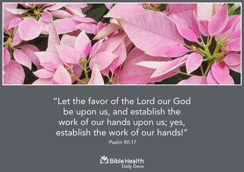 Established by His Hand Psalm 90 17 January 6