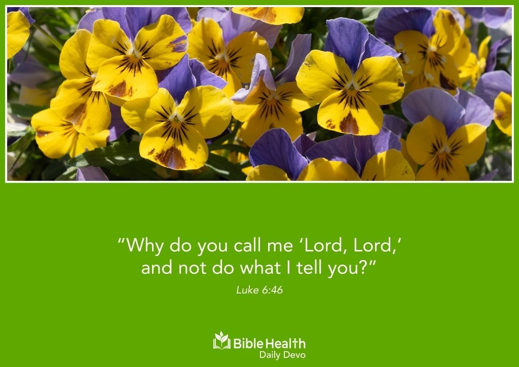 Healthy Habits Begin With Surrender Luke 6 46 January 17