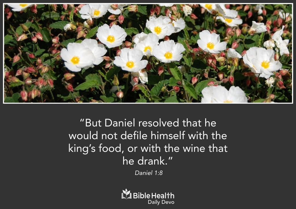 Holy Habits, Healthy Life Daniel 1 8 January 12