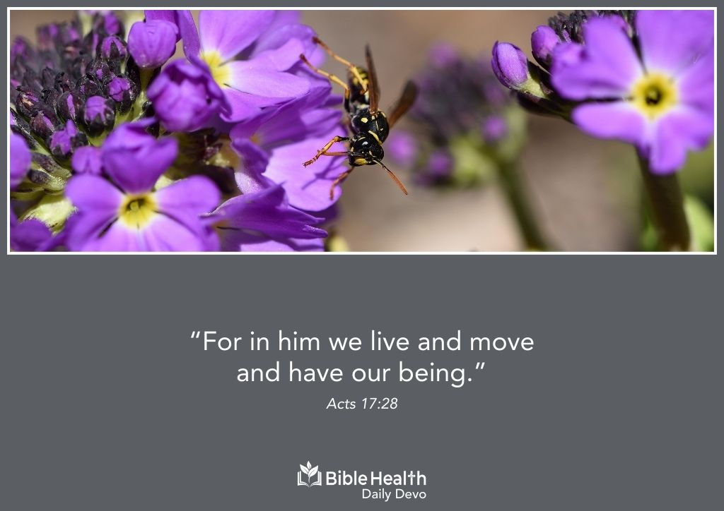 Living in the God Who Sustains Us Acts 17 28 January 30