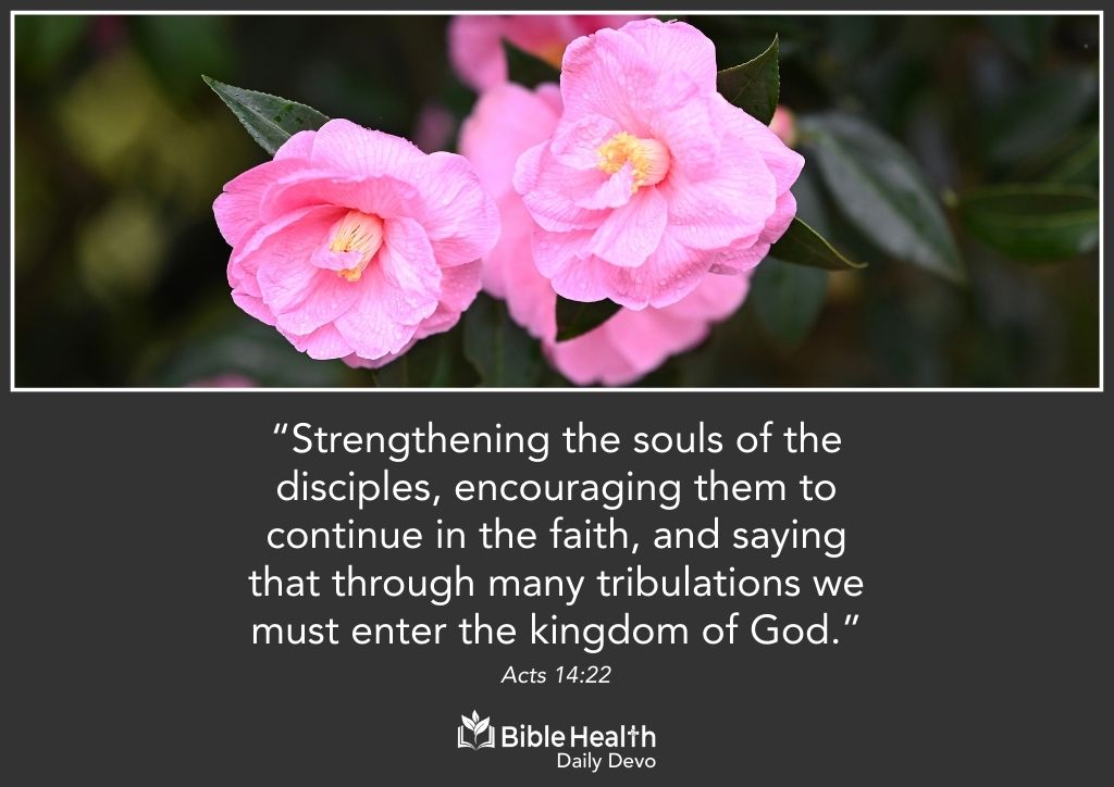 Strengthened for the Journey Ahead Acts 14 22 January 28