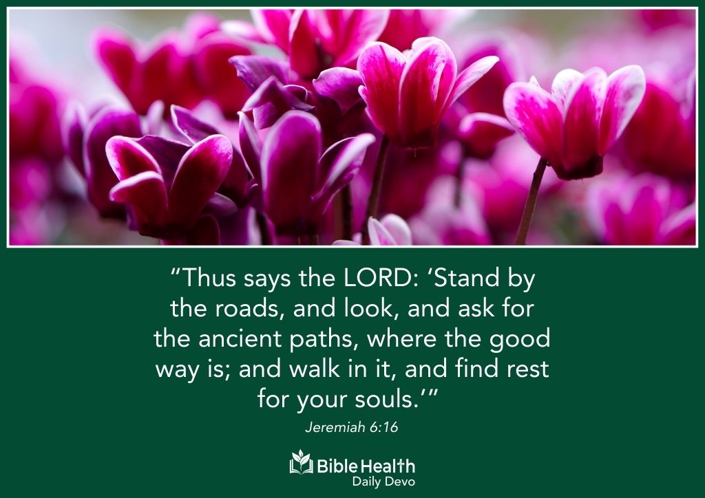The Ancient Paths Jeremiah 6 16 January 11