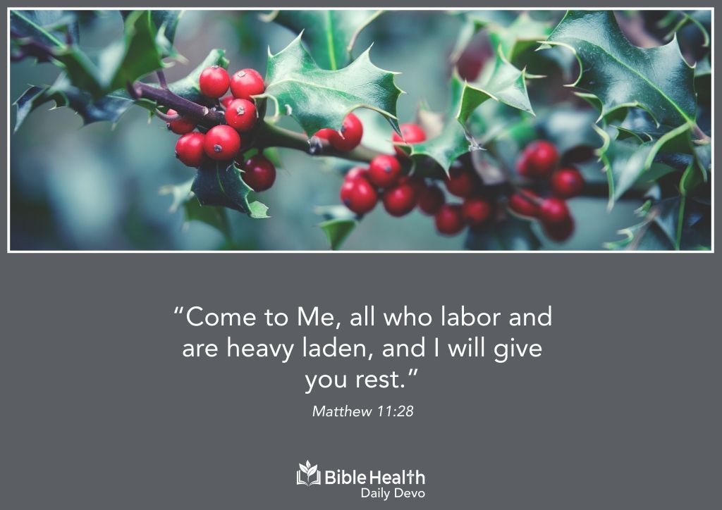 The Habit of Coming to Jesus Matthew 11 28 January 14