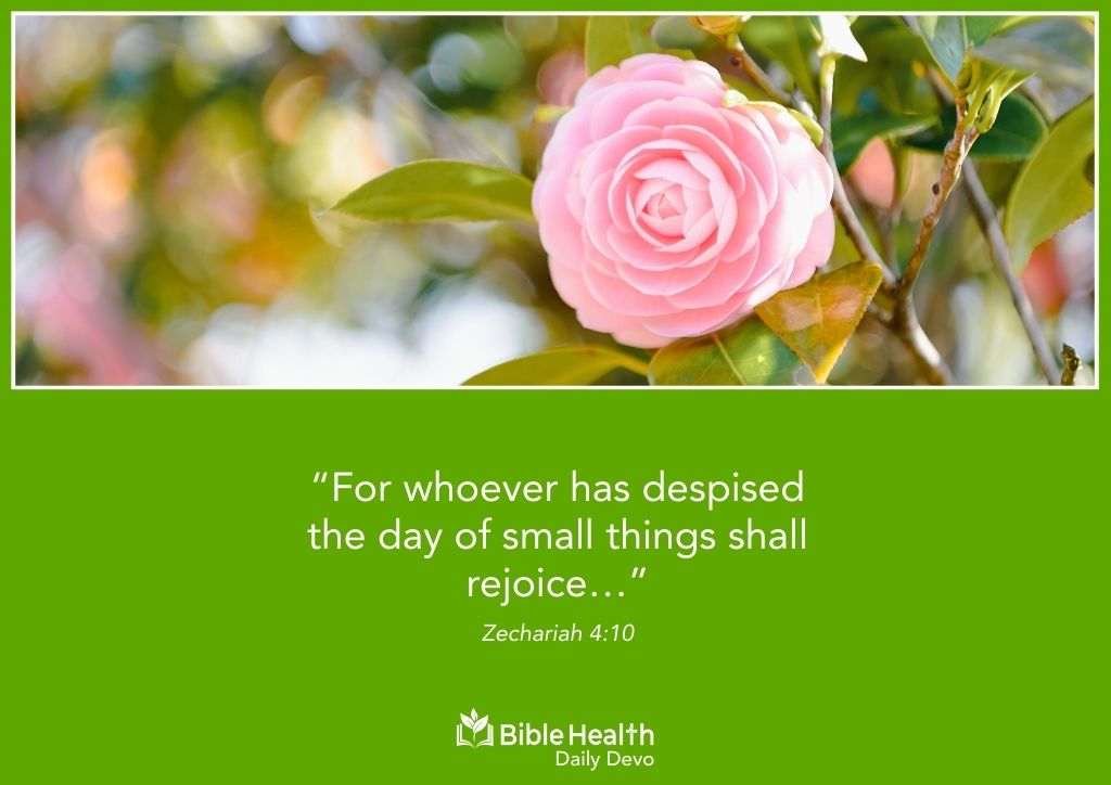 The Power of Small Things Zechariah 4 10 January 13