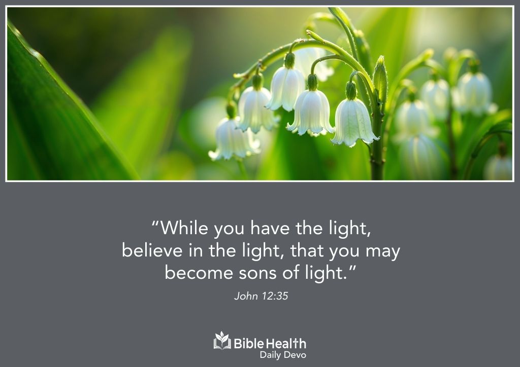 Walking in the Light John 12 35 January 18