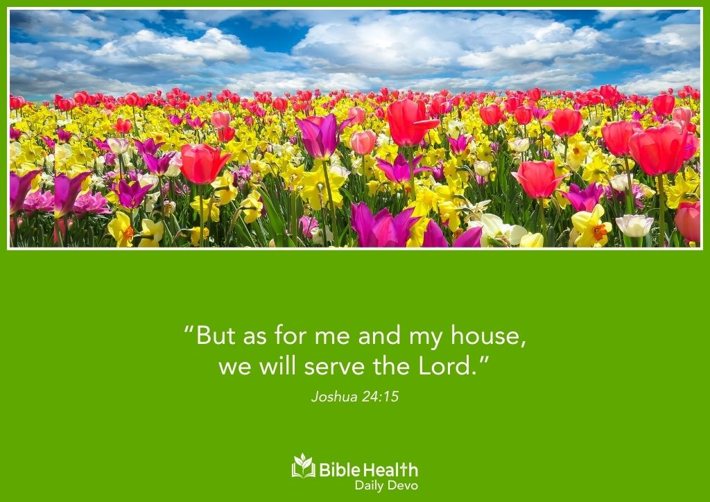 Choosing Faithful Love Joashua 24 15 Feb 14