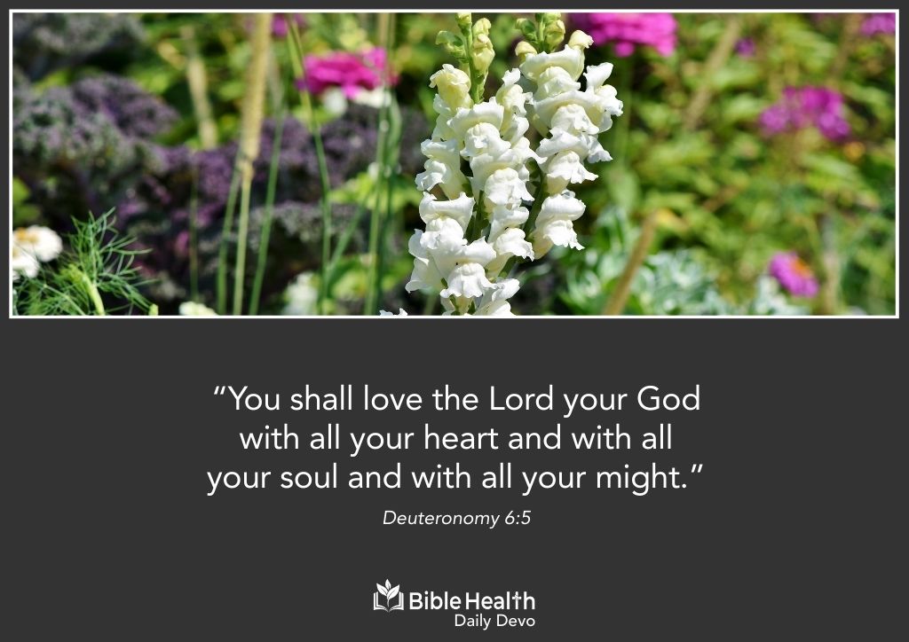 Loving God With Our Whole Being Deuteronomy 6 5 Feb 5