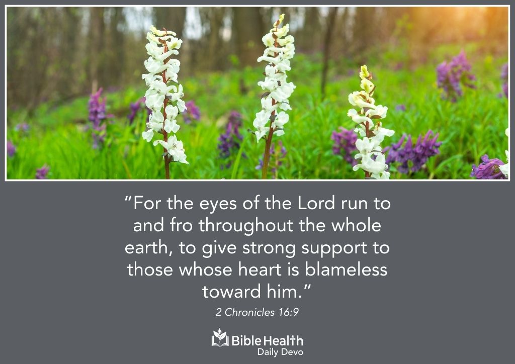 Strength That God Sustains 2 Chronicles 16 9 Feb 27