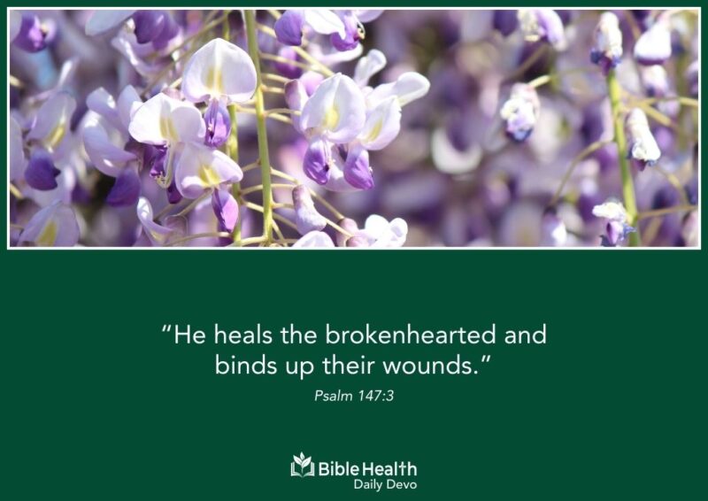 Mending What Has Been Worn Down