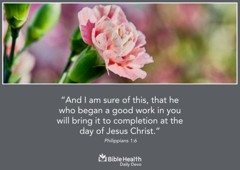 Trusting the Work God Is Continuing